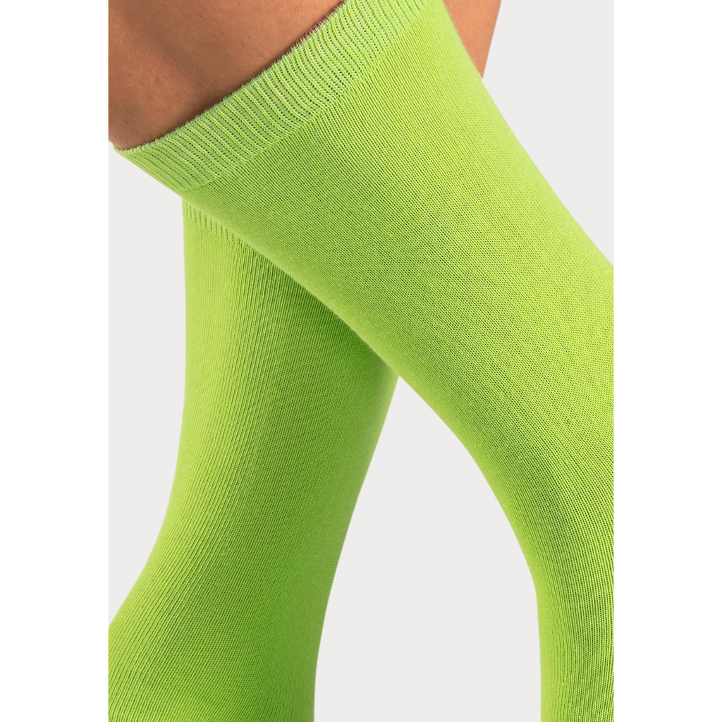 Bench. Socken, (Dose, 4 Paar), mit farbigen Innenbündchen, sortiert in edler Geschenkdose