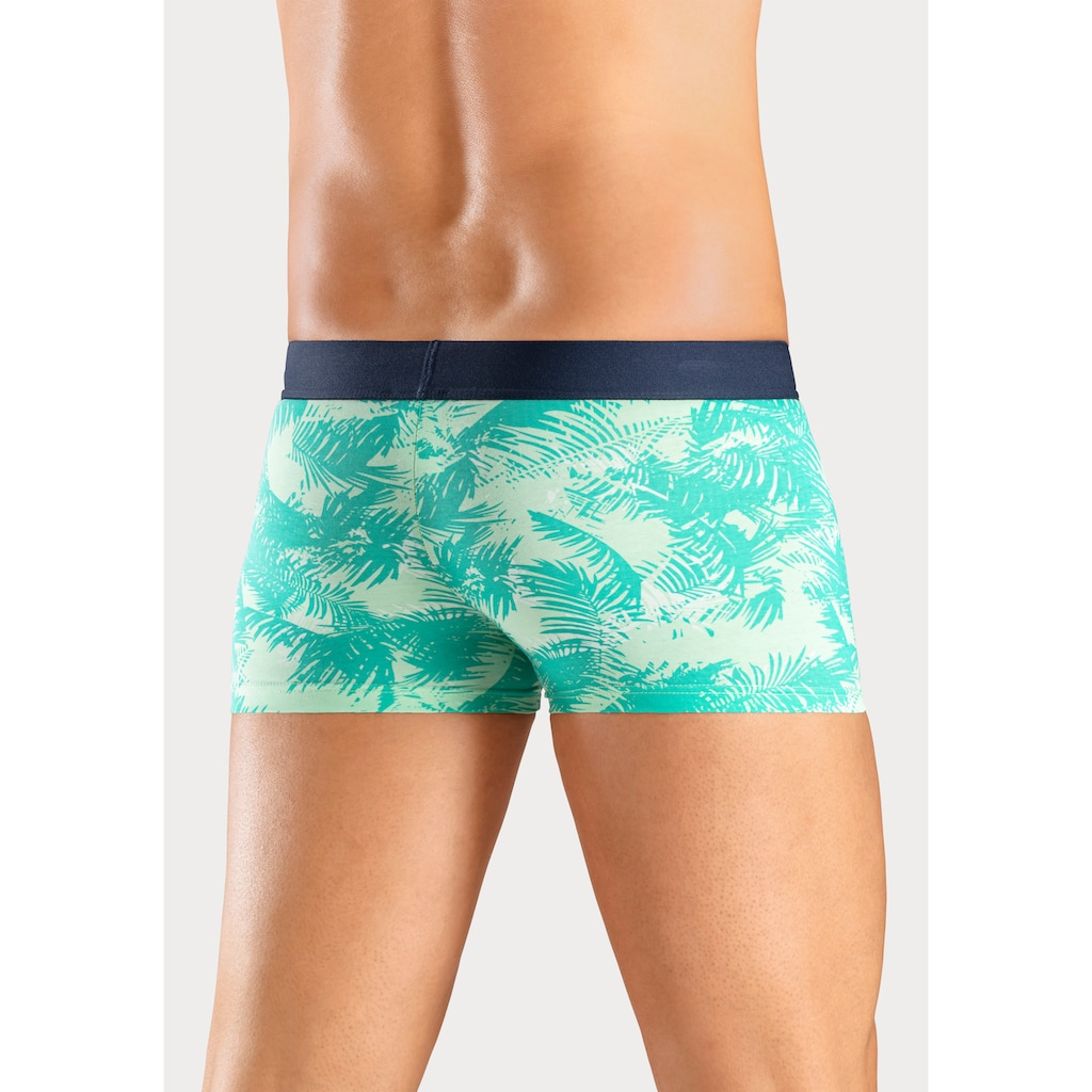 Bruno Banani Boxer »Boxershorts für Herren«, (Packung, 4 St., 4er-Pack), mit Palmendruck und unifarben aus Baumwollmischung
