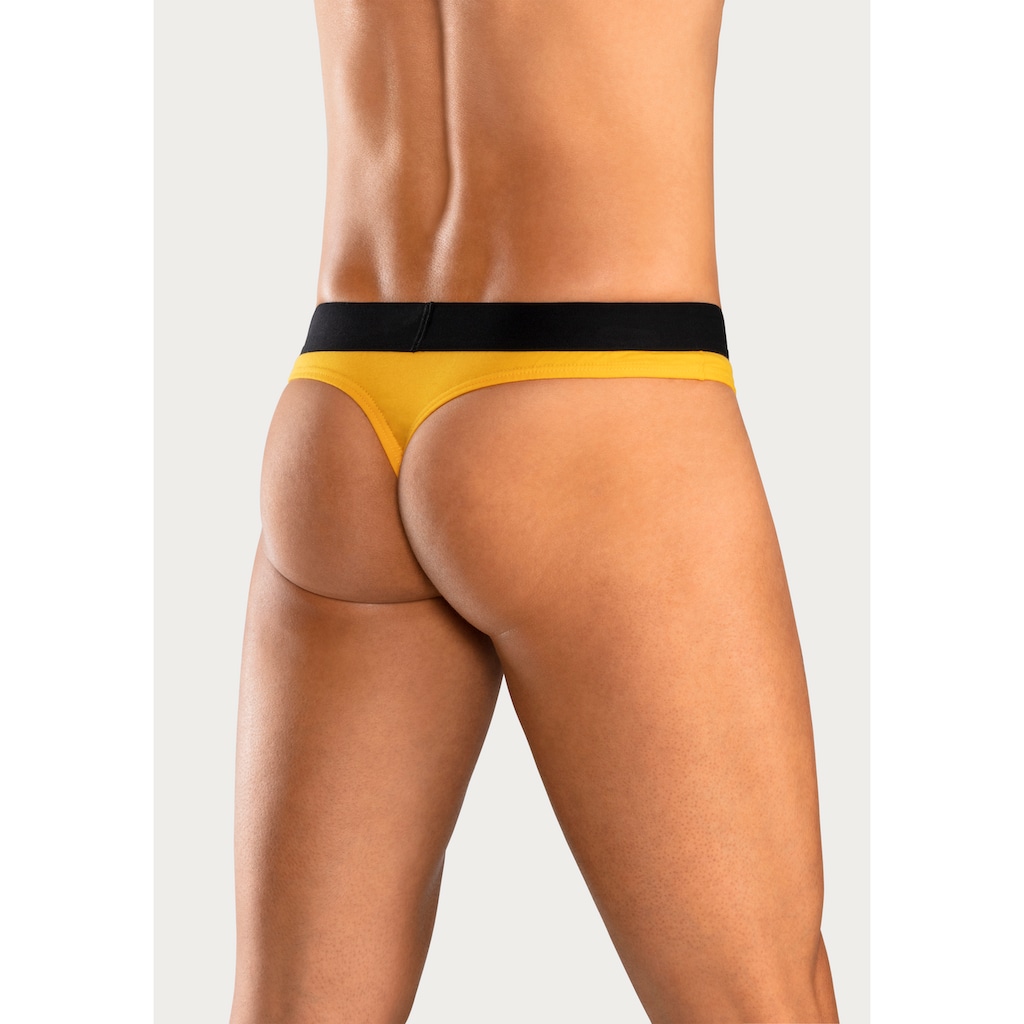 Bruno Banani String, (Packung, 5 St.), mit Streifen Logo Webbund