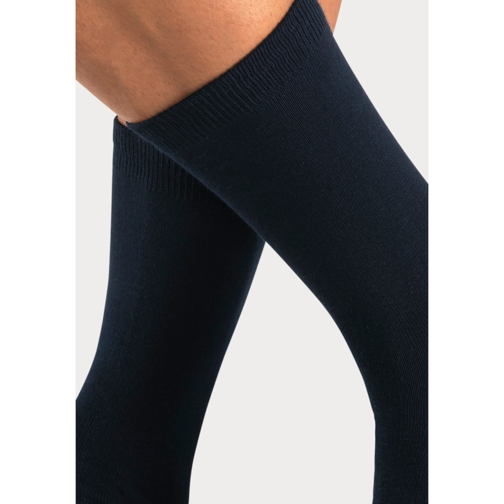 Bench. Basicsocken, (Dose, 4 Paar), mit farbigen Innenbündchen