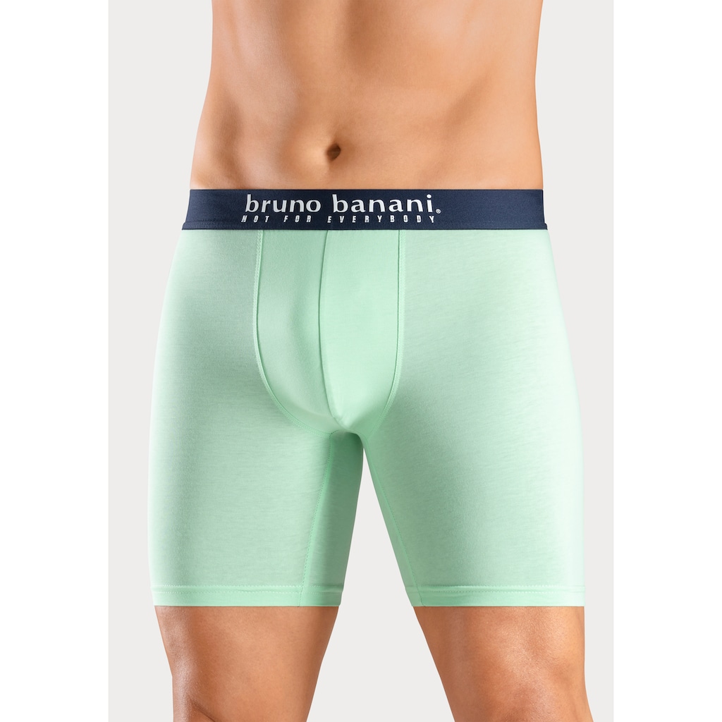 Bruno Banani Langer Boxer, (Packung, 4 St., 4er-Pack), mit Palmendruck und unifarben aus Baumwollmischung