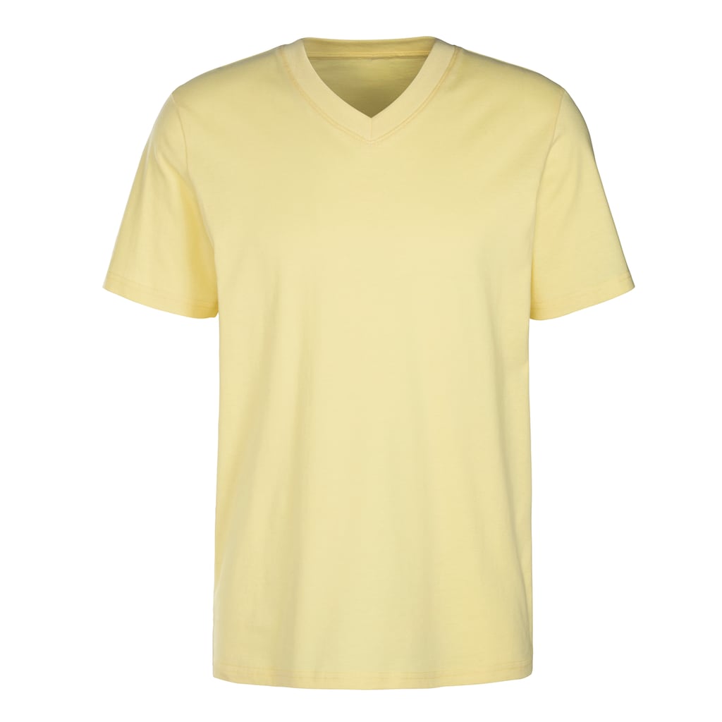 KangaROOS T-Shirt »Regular Fit,«, (2er-Pack), Freizeitshirt mit Kurzarm, V-Ausschnitt aus reine Baumwolle