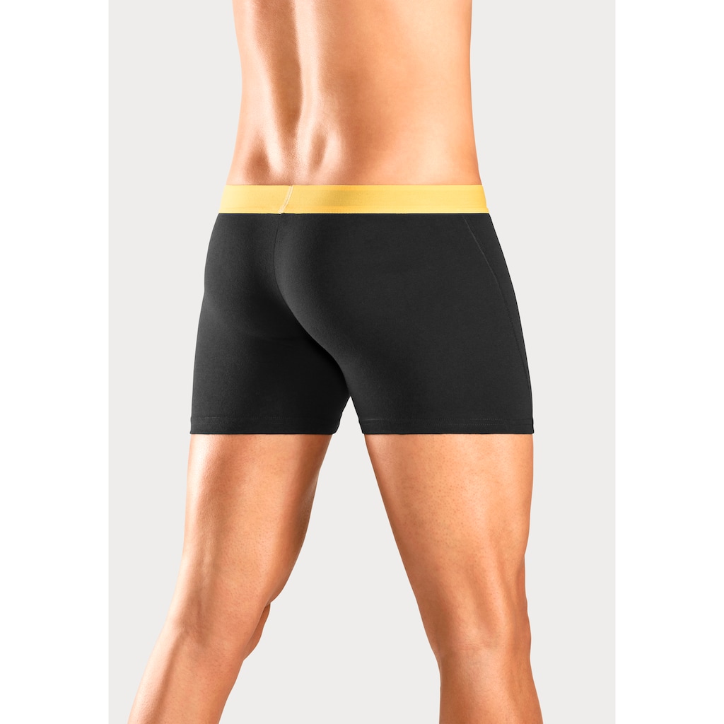 Bruno Banani Boxer »Boxershorts für Herren«, (Packung, 4 St.), mit längerem Bein und auffälligen Logobund