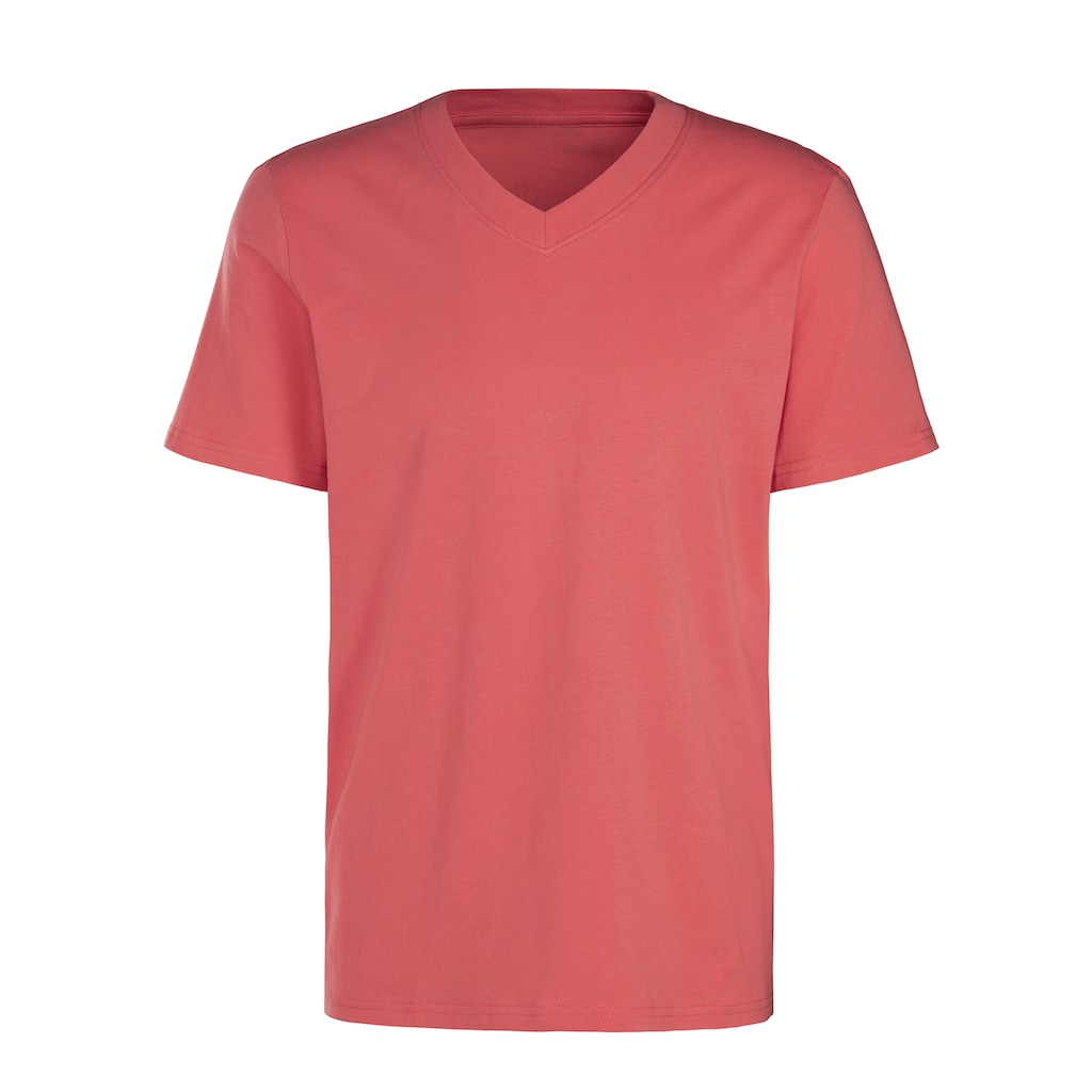 KangaROOS T-Shirt »Regular Fit,«, (2er-Pack), Freizeitshirt mit Kurzarm, V-Ausschnitt aus reine Baumwolle