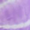 violet-blanc