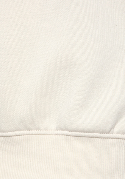 Buffalo Hoodie »-Kapuzensweatshirt mit Rückenprint«